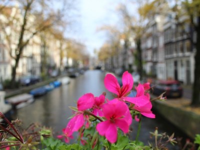 Amsterdam: un tripudio di luci, canali e&nbsp;biciclette