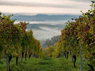 Persi tra i vigneti: le&nbsp;Langhe